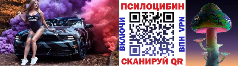 где можно купить наркотик  Невьянск  мега   Галлюциногенные грибы Psilocybe 